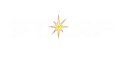 STARF wire mesh machinery logo